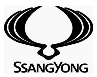 Taller Ssangyong